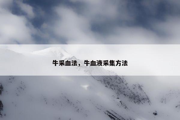 牛采血法，牛血液采集方法