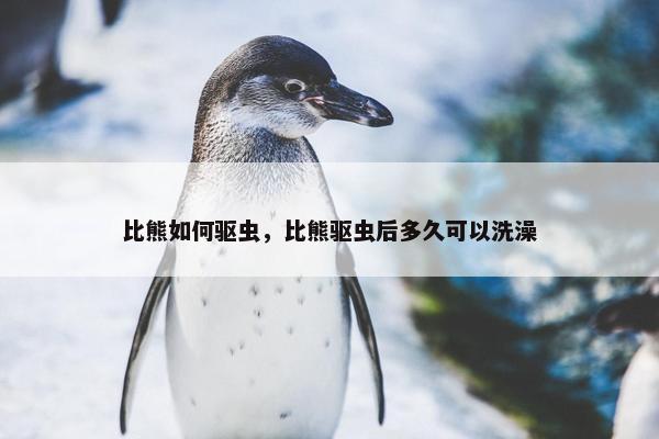 比熊如何驱虫，比熊驱虫后多久可以洗澡