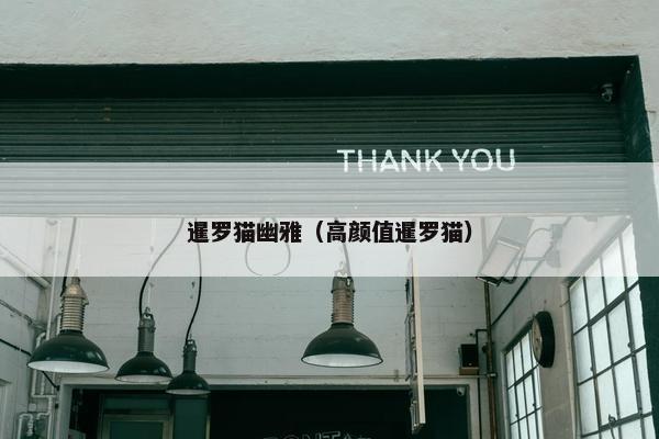 暹罗猫幽雅（高颜值暹罗猫）