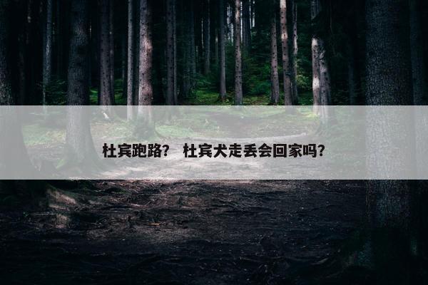 杜宾跑路？ 杜宾犬走丢会回家吗？
