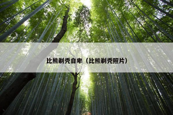 比熊剃秃自卑（比熊剃秃照片）