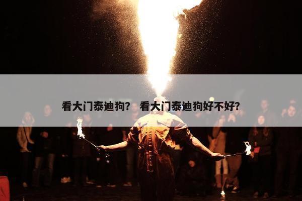看大门泰迪狗？ 看大门泰迪狗好不好？