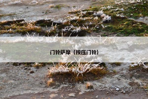 门铃萨摩（按压门铃）