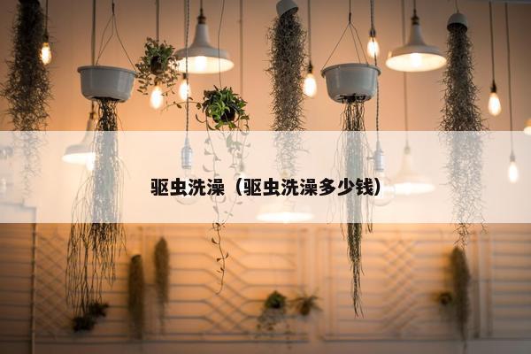 驱虫洗澡（驱虫洗澡多少钱）