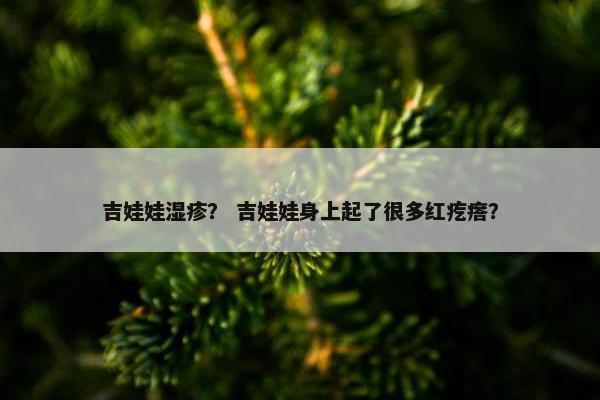 吉娃娃湿疹？ 吉娃娃身上起了很多红疙瘩？