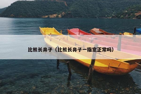 比熊长鼻子（比熊长鼻子一指宽正常吗）