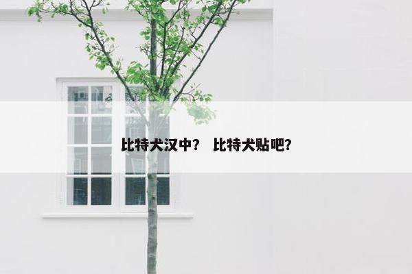 比特犬汉中？ 比特犬贴吧？
