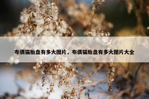 布偶猫胎盘有多大图片，布偶猫胎盘有多大图片大全