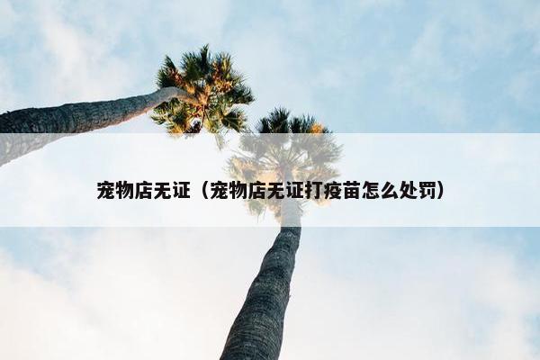 宠物店无证（宠物店无证打疫苗怎么处罚）
