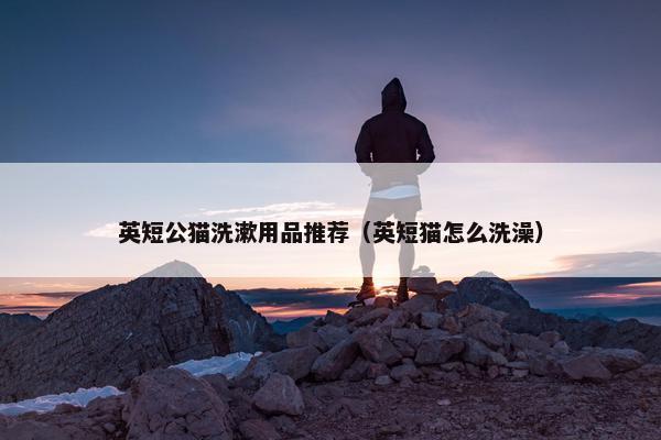 英短公猫洗漱用品推荐（英短猫怎么洗澡）