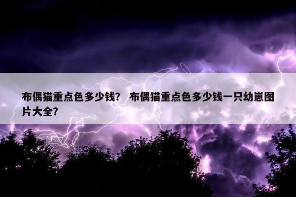 布偶猫重点色多少钱？ 布偶猫重点色多少钱一只幼崽图片大全？