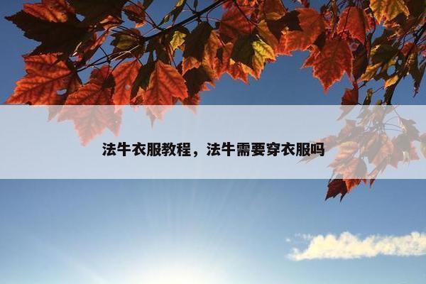 法牛衣服教程，法牛需要穿衣服吗