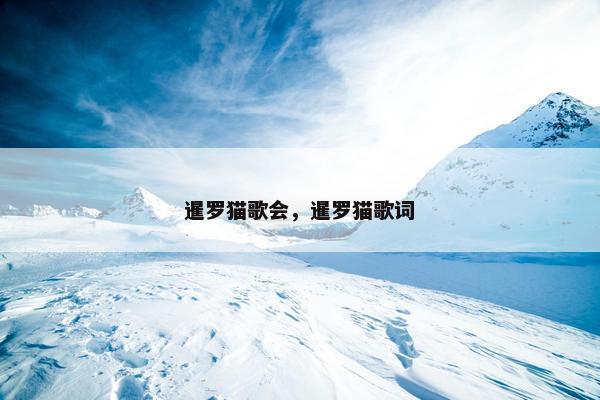 暹罗猫歌会，暹罗猫歌词