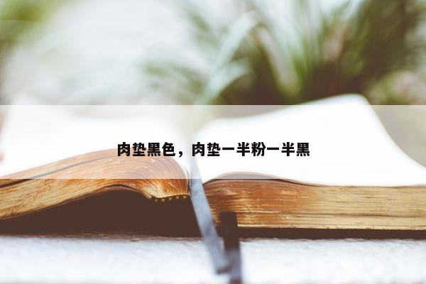 肉垫黑色，肉垫一半粉一半黑