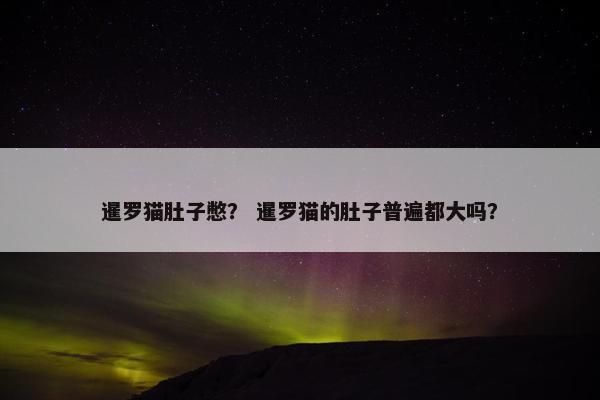 暹罗猫肚子憋？ 暹罗猫的肚子普遍都大吗？