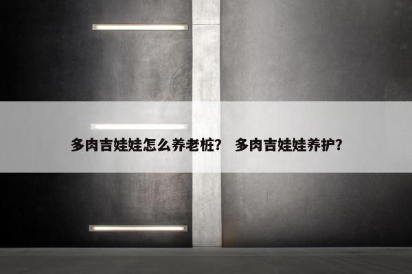 多肉吉娃娃怎么养老桩？ 多肉吉娃娃养护？