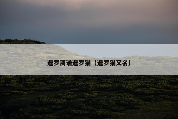 暹罗离谱暹罗猫（暹罗猫又名）
