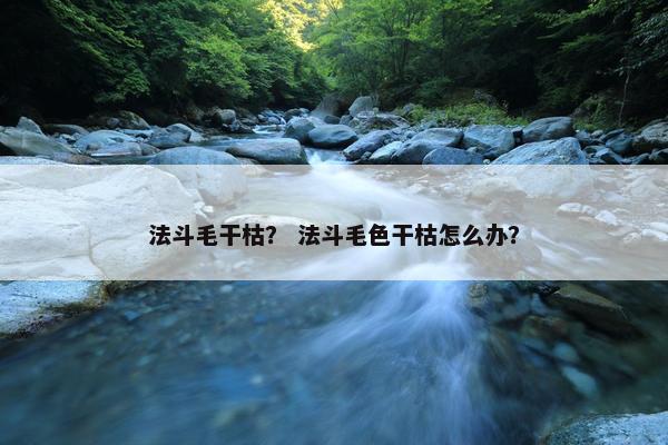 法斗毛干枯？ 法斗毛色干枯怎么办？