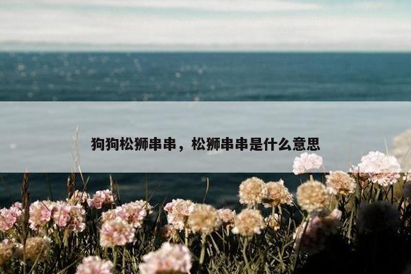 狗狗松狮串串，松狮串串是什么意思