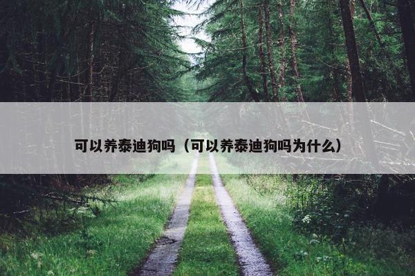 可以养泰迪狗吗（可以养泰迪狗吗为什么）