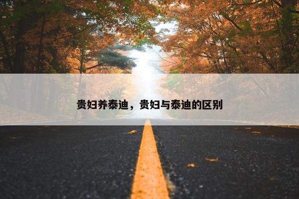 贵妇养泰迪，贵妇与泰迪的区别
