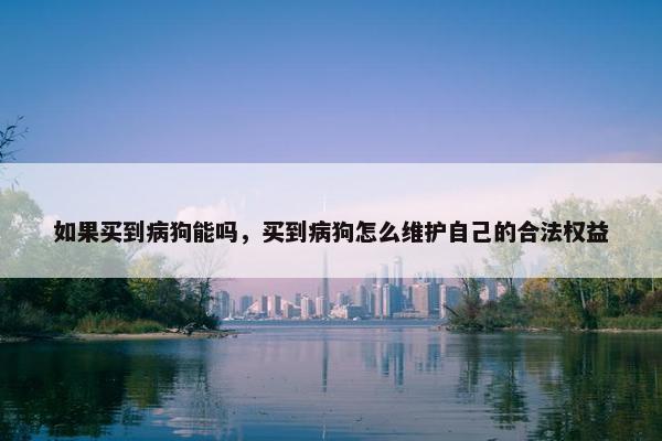 如果买到病狗能吗，买到病狗怎么维护自己的合法权益
