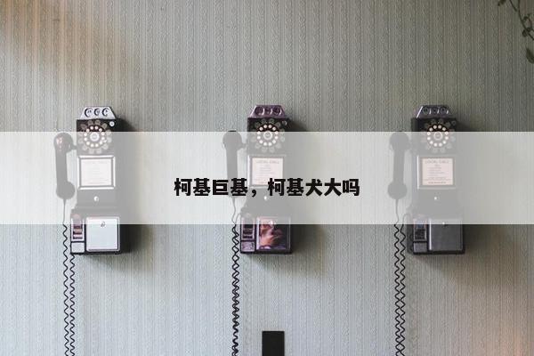 柯基巨基，柯基犬大吗