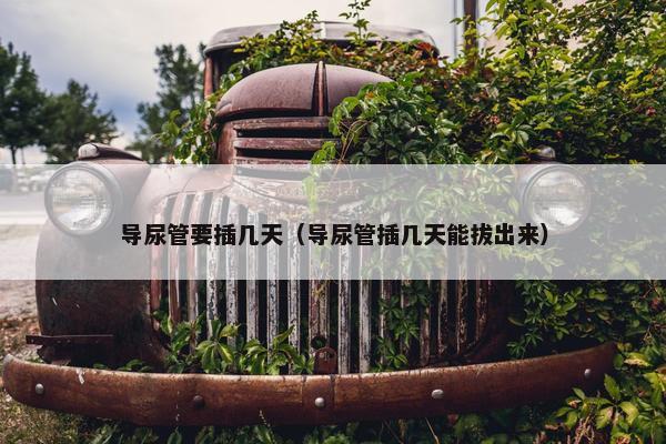 导尿管要插几天（导尿管插几天能拔出来）