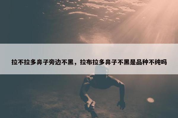 拉不拉多鼻子旁边不黑，拉布拉多鼻子不黑是品种不纯吗