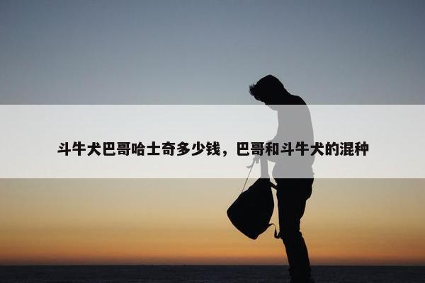 斗牛犬巴哥哈士奇多少钱，巴哥和斗牛犬的混种
