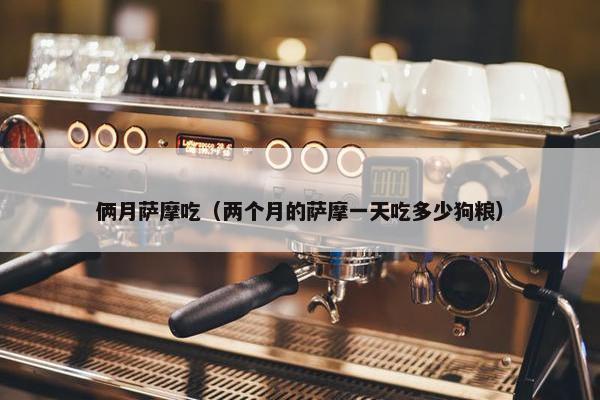 俩月萨摩吃（两个月的萨摩一天吃多少狗粮）