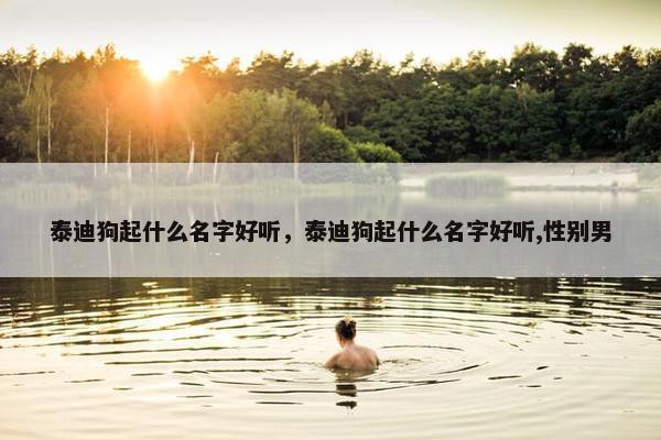 泰迪狗起什么名字好听，泰迪狗起什么名字好听,性别男
