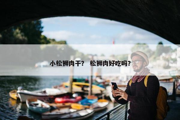 小松狮肉干？ 松狮肉好吃吗？