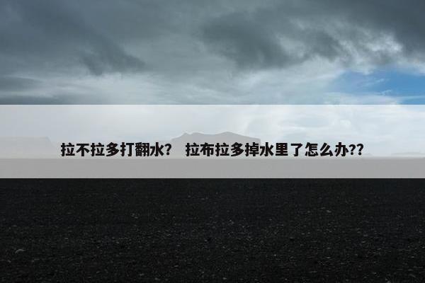 拉不拉多打翻水？ 拉布拉多掉水里了怎么办?？