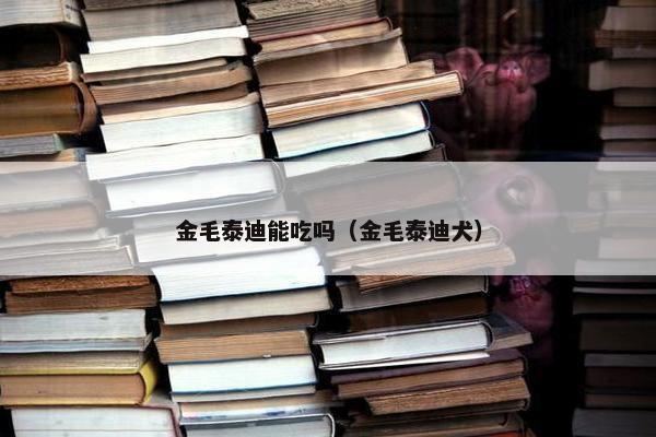 金毛泰迪能吃吗（金毛泰迪犬）