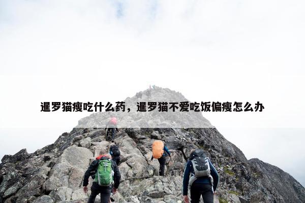 暹罗猫瘦吃什么药，暹罗猫不爱吃饭偏瘦怎么办