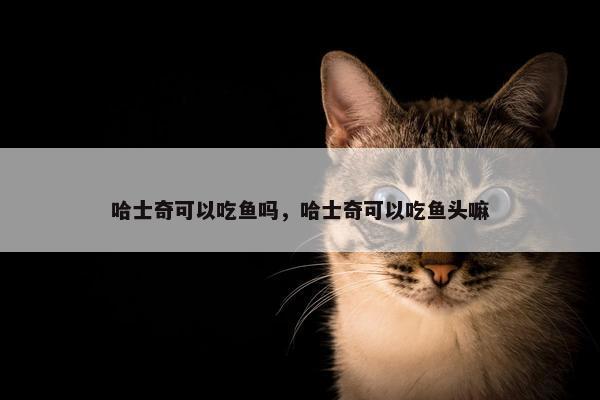 哈士奇可以吃鱼吗，哈士奇可以吃鱼头嘛