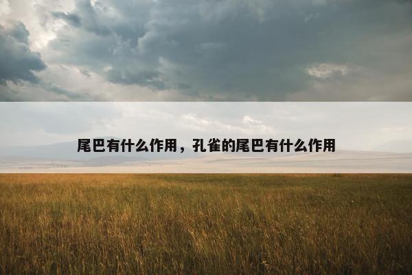 尾巴有什么作用，孔雀的尾巴有什么作用
