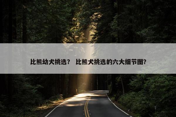 比熊幼犬挑选？ 比熊犬挑选的六大细节图？