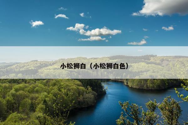 小松狮白（小松狮白色）