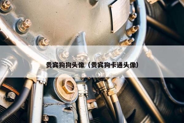 贵宾狗狗头像（贵宾狗卡通头像）