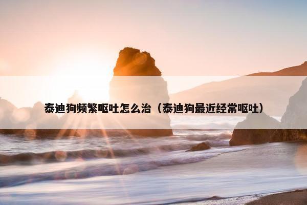 泰迪狗频繁呕吐怎么治（泰迪狗最近经常呕吐）