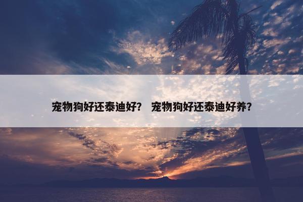 宠物狗好还泰迪好？ 宠物狗好还泰迪好养？