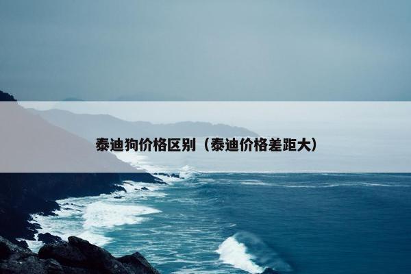 泰迪狗价格区别（泰迪价格差距大）