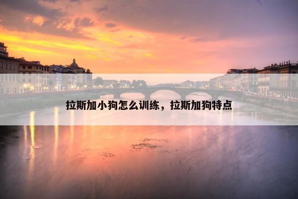 拉斯加小狗怎么训练，拉斯加狗特点
