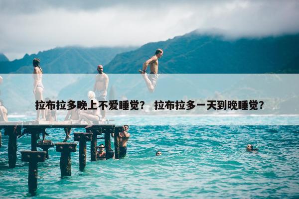 拉布拉多晚上不爱睡觉？ 拉布拉多一天到晚睡觉？