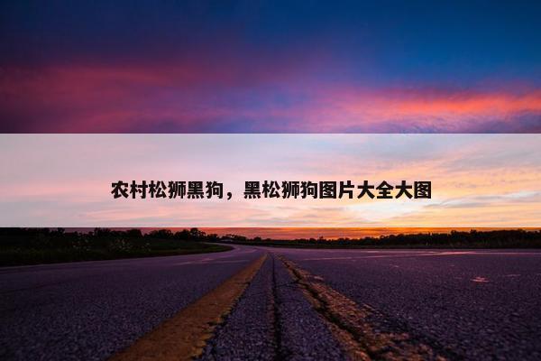农村松狮黑狗，黑松狮狗图片大全大图