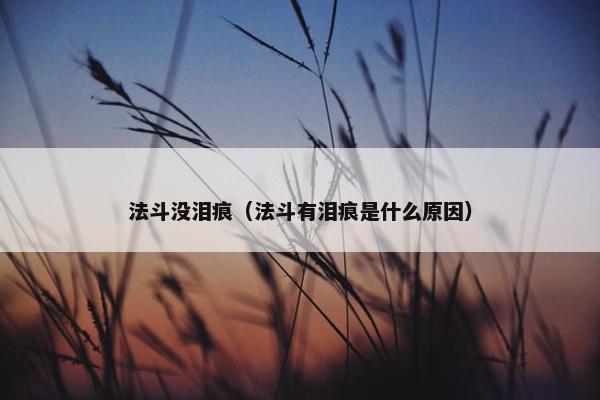 法斗没泪痕（法斗有泪痕是什么原因）