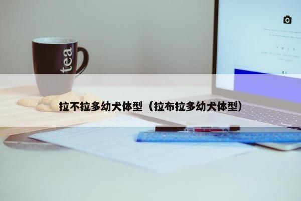 拉不拉多幼犬体型（拉布拉多幼犬体型）