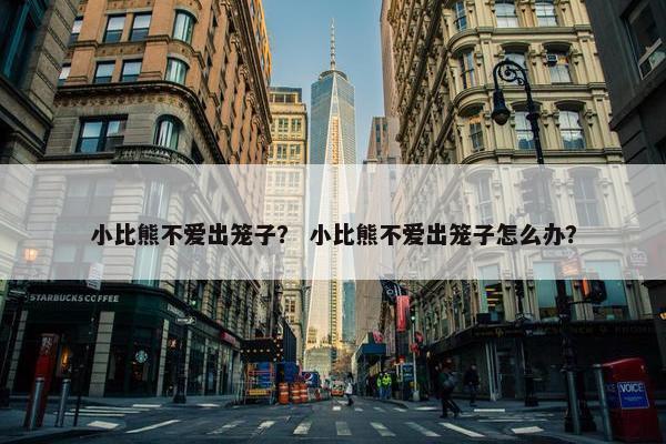 小比熊不爱出笼子？ 小比熊不爱出笼子怎么办？